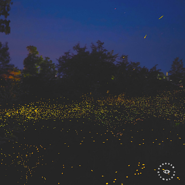 Tiny Glimmers cover art
