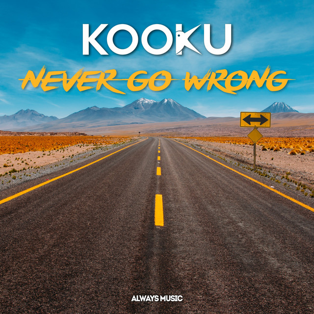 Never Go Wrong cover art