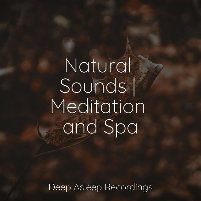 Natural Sounds | Meditation and Spa cover art