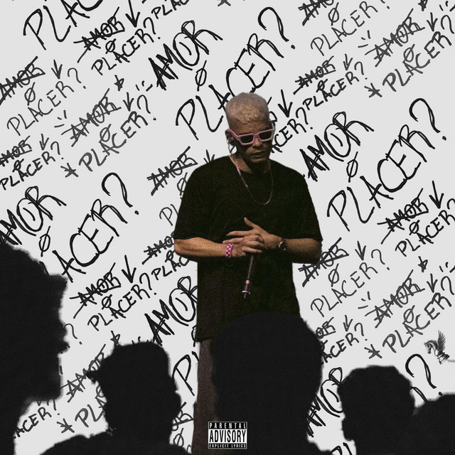 Amor ø Placer cover art