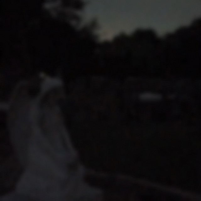 sǝɹnsɐǝld ǝldɯᴉs cover art
