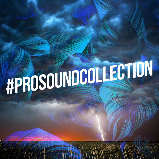 #ProSoundCollection - Album by Pro Sound Effects Library | Spotify