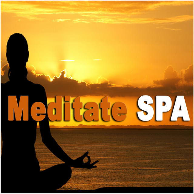 Meditate SPA cover art