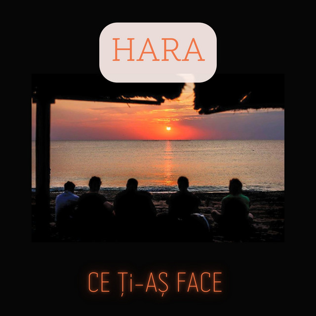 Ce Ți-aș Face cover