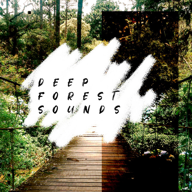 Deep Forest Sounds ! ! ! ! - Album by Forest Sounds | Spotify