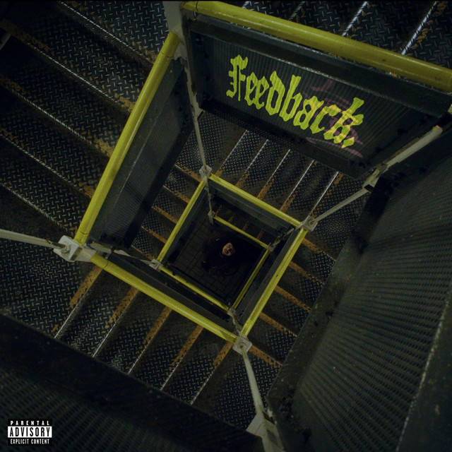 Feedback cover art