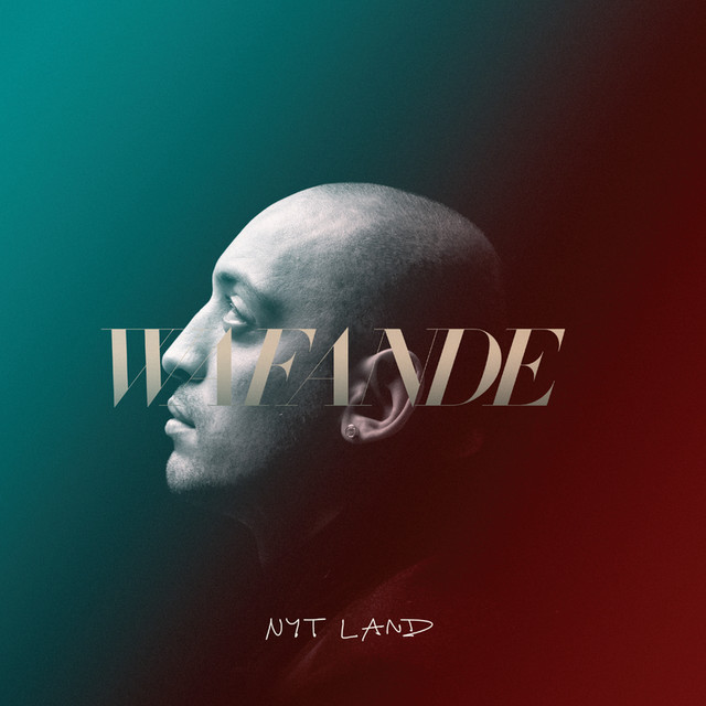 Nyt Land cover art