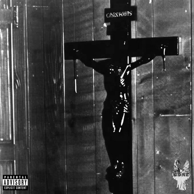 SAIDIT cover art