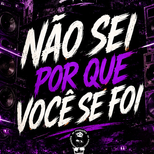 NÃO SEI POR QUE VOCÊ SE FOI