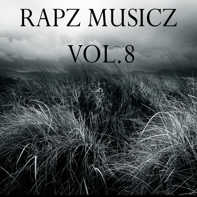 RapZ MusicZ, Vol. 8 cover art