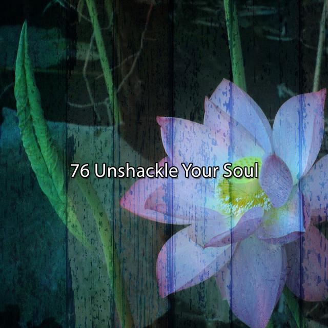 76 Unshackle Your Soul cover art