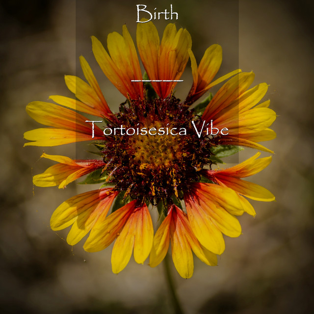 Birth cover art
