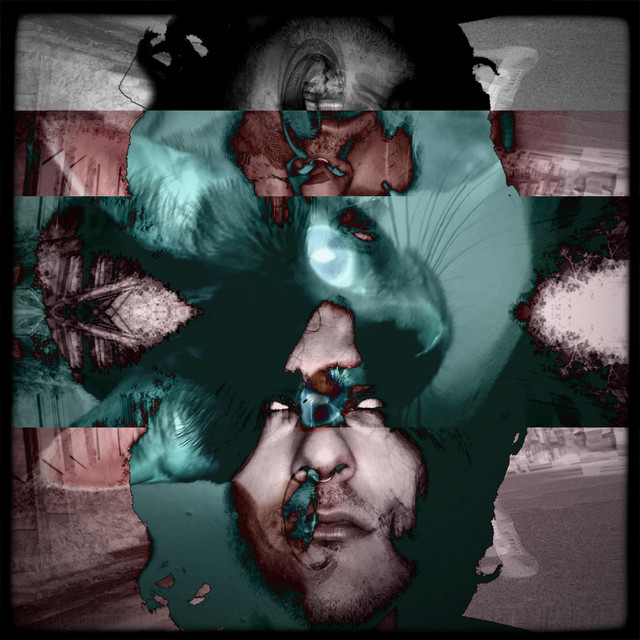 WEIRDO cover art