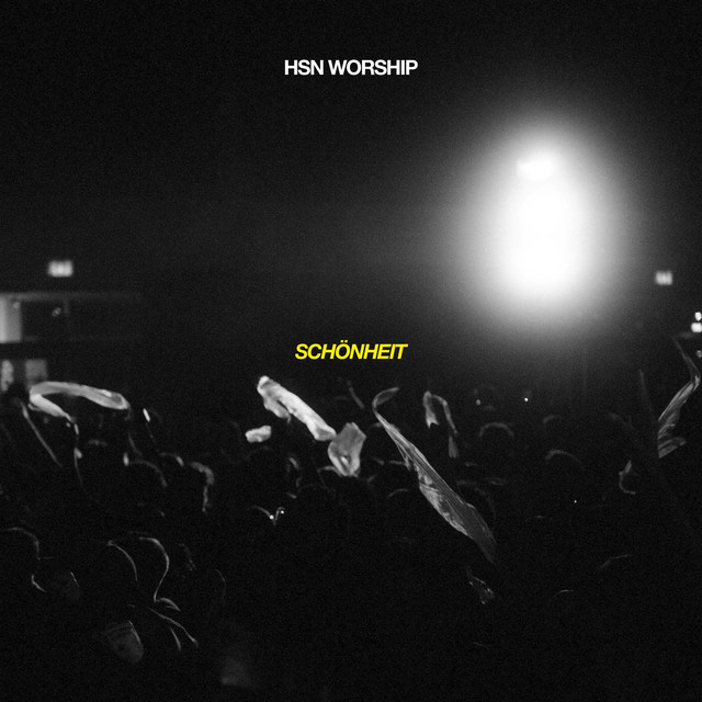 Schönheit - Live cover art