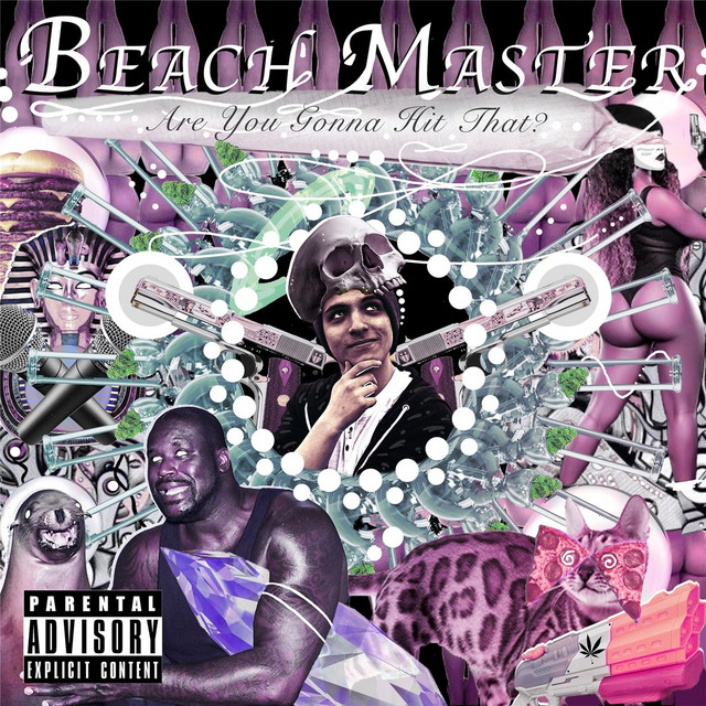 Are You Gonna Hit That? cover art