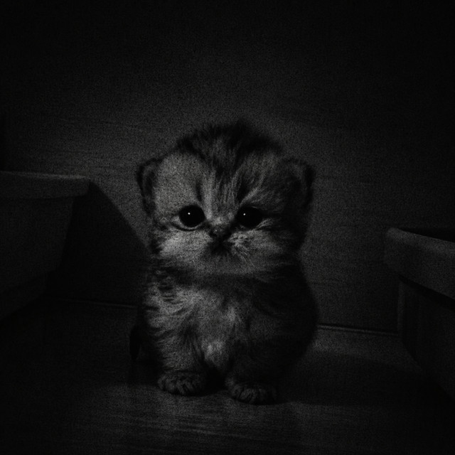 Miren