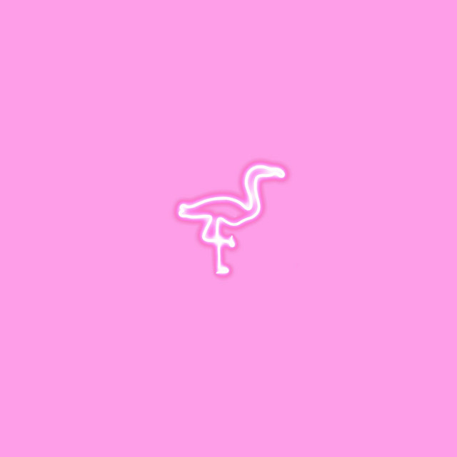 flamyngaz. cover art