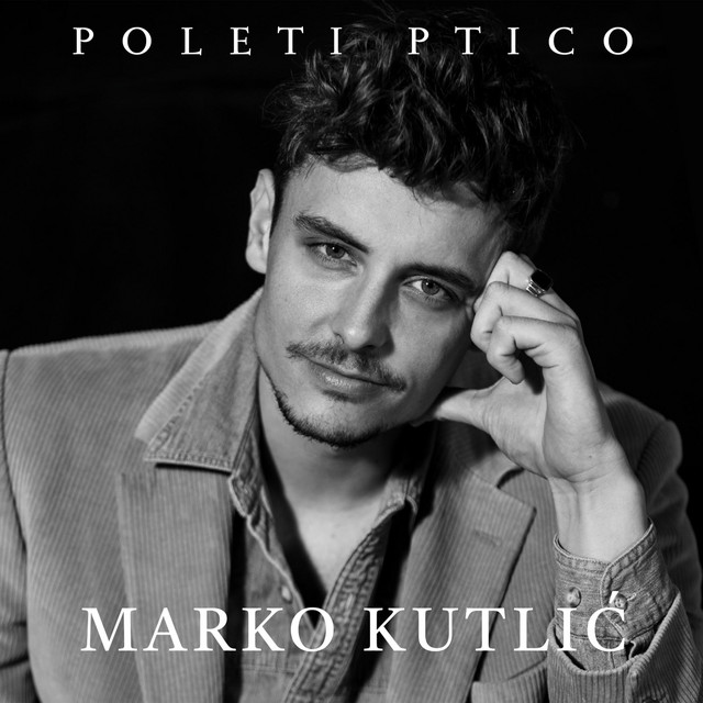 Poleti Ptico cover art