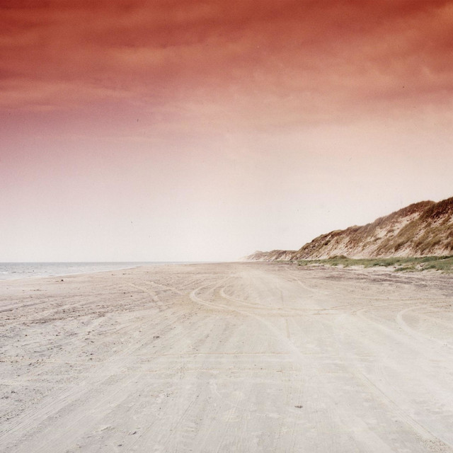 Omslag för Alpha Is Down av Ariel Kill Him