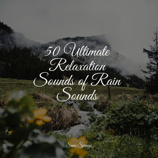 50 Ultimate Relaxation Sounds of Rain Sounds - Album by Yoga Namaste ...