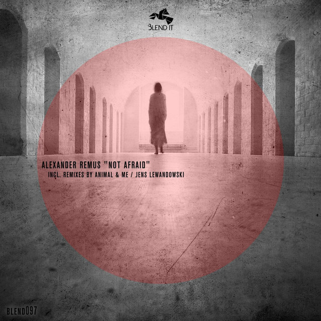 Not Afraid cover