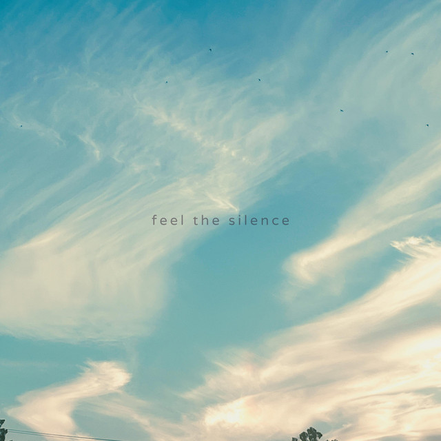 feel the silence cover art