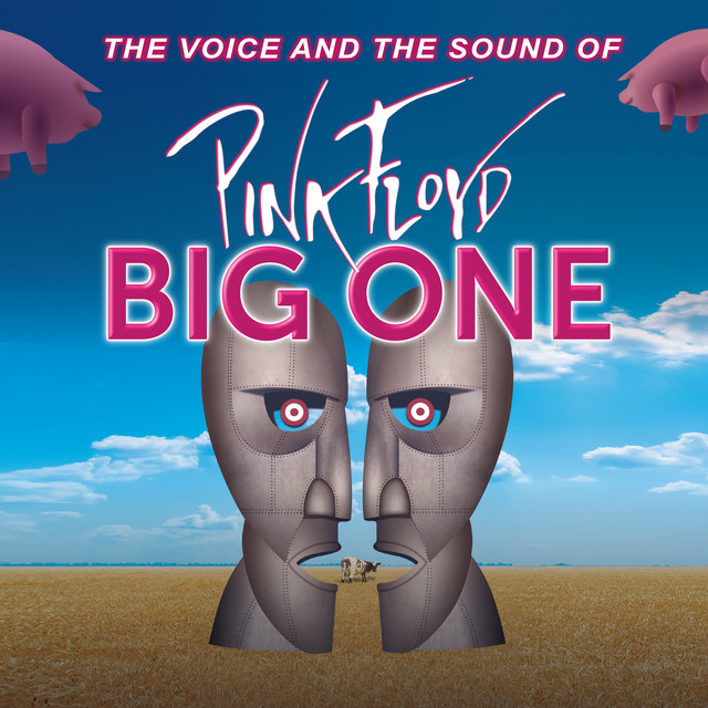 The Voice and the Sound of Pink Floyd cover art
