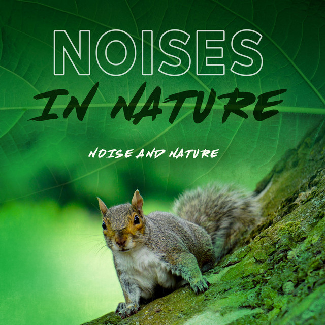 Noises in Nature