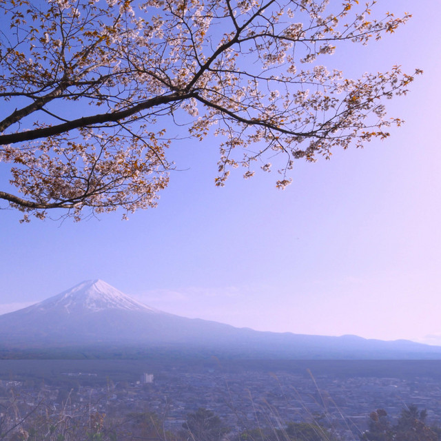 Mount Fuji - Rework