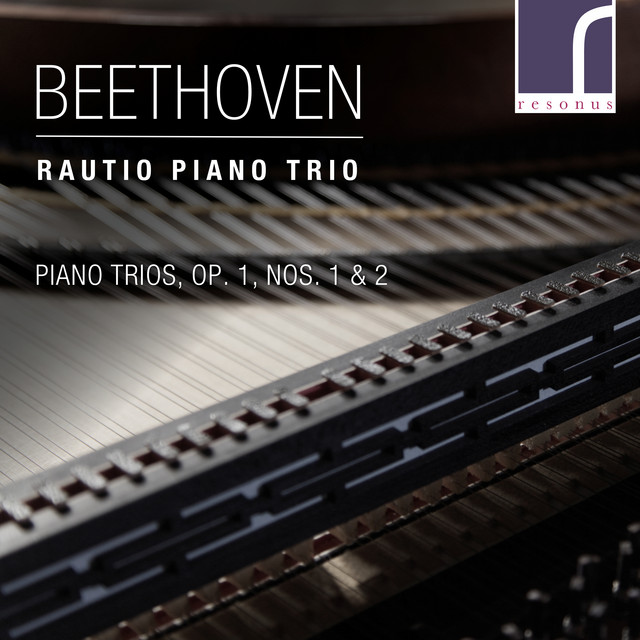 Piano Trio in G Major, Op. 1, No. 2: IV. Finale