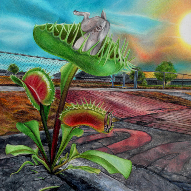 Carnivore cover art