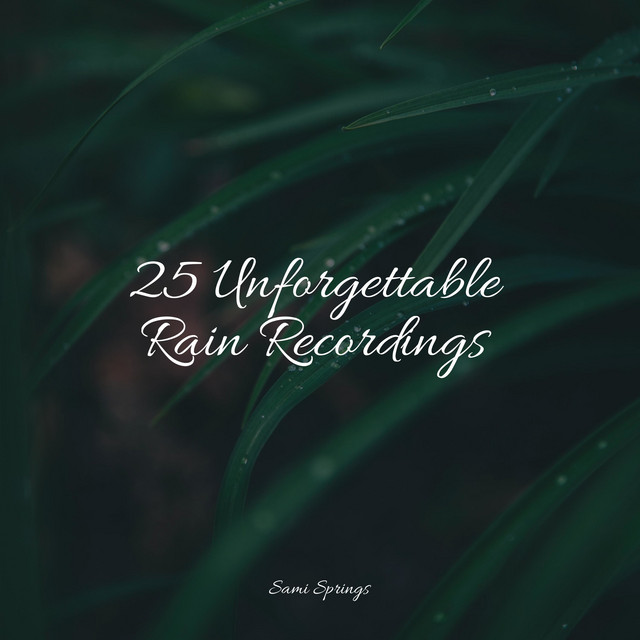 25 Relaxing Rain Sounds for Sleep - Album by The Sleep Principle | Spotify