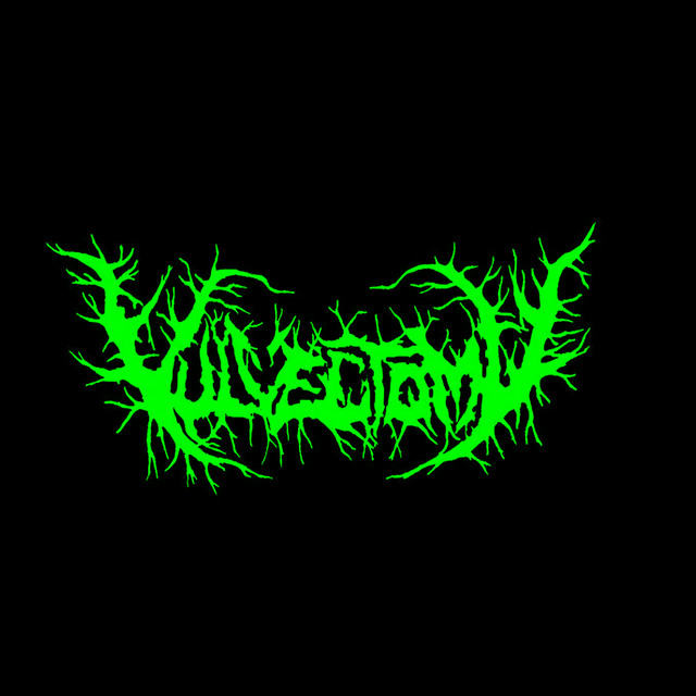 Abusing Dismembered Beauties cover art