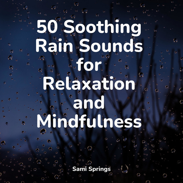 50 Soothing Rain Sounds for Relaxation and Mindfulness - Album by Deep ...