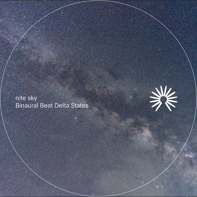 Nite System Photo