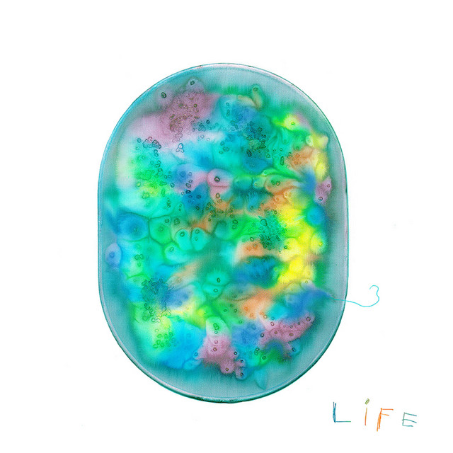 Life cover