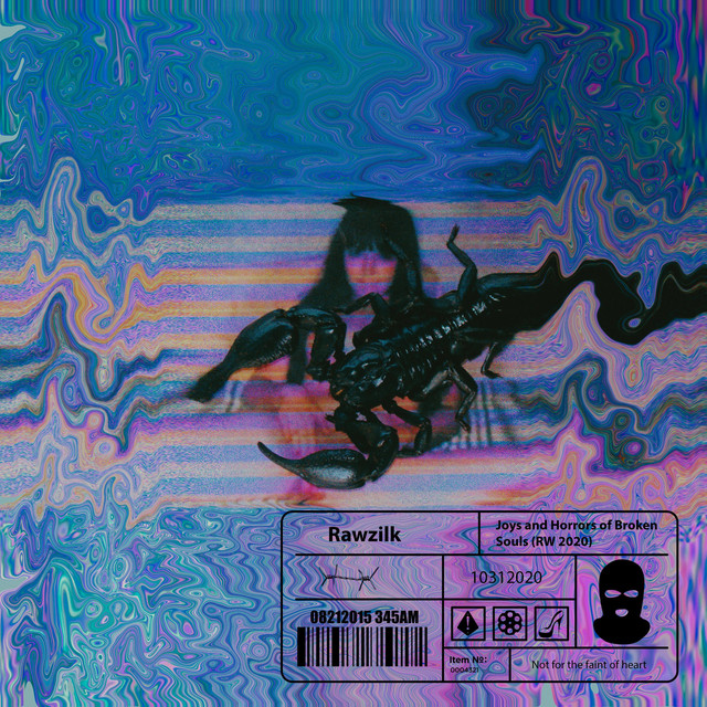 Joys and Horrors of Broken Souls cover art