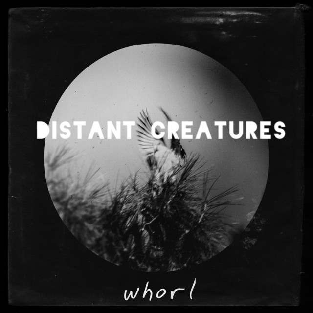 Whorl cover art