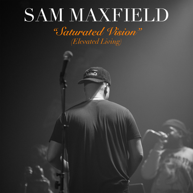Saturated Vision (Elevated Living) cover