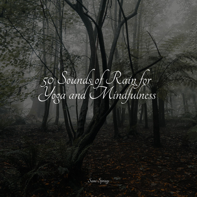 50 Sounds of Rain for Yoga and Mindfulness - Album by Música relaxante ...