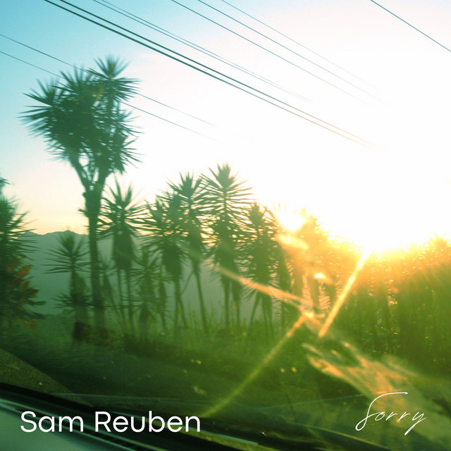 Sorry - song and lyrics by Sam Reuben | Spotify