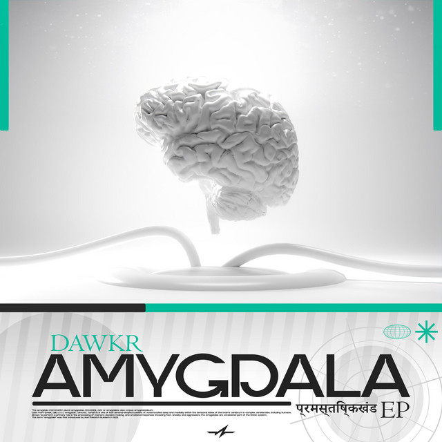 Amygdala cover art