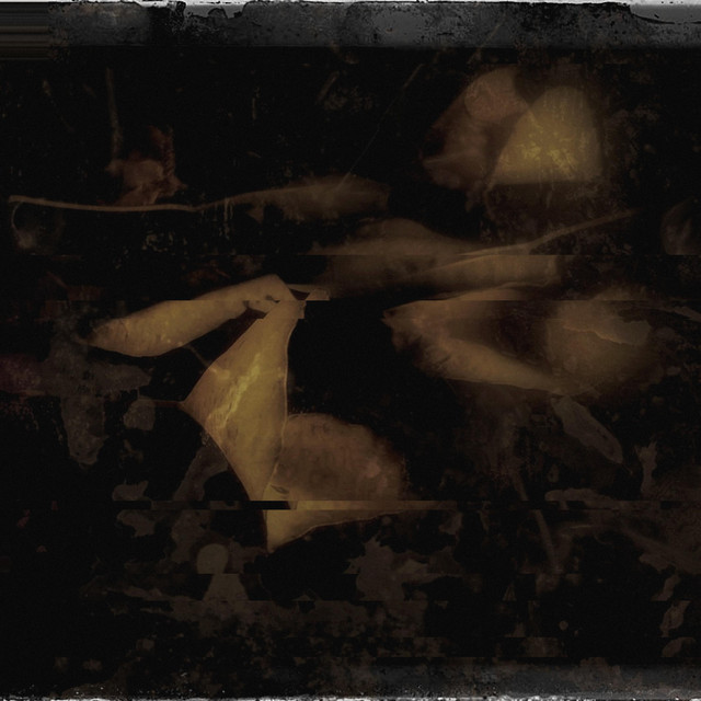 Song of Unhealing cover art