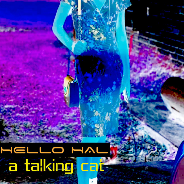 Collard - song and lyrics by Hello Hal | Spotify