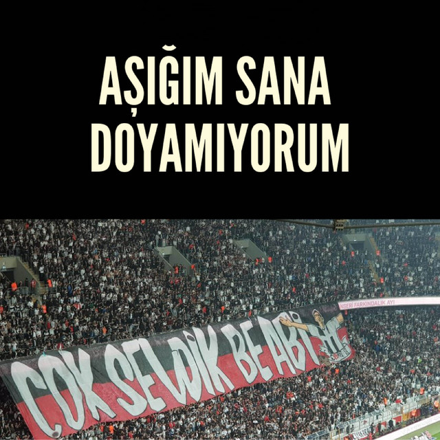Aşığım Sana Doyamıyorum cover art
