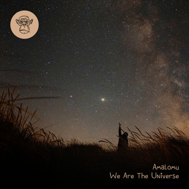 We Are the Universe cover art