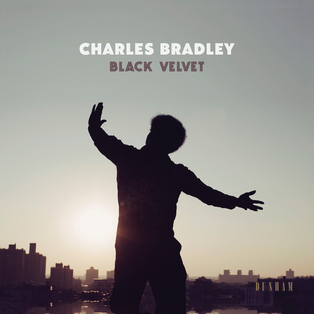 Black Velvet cover art