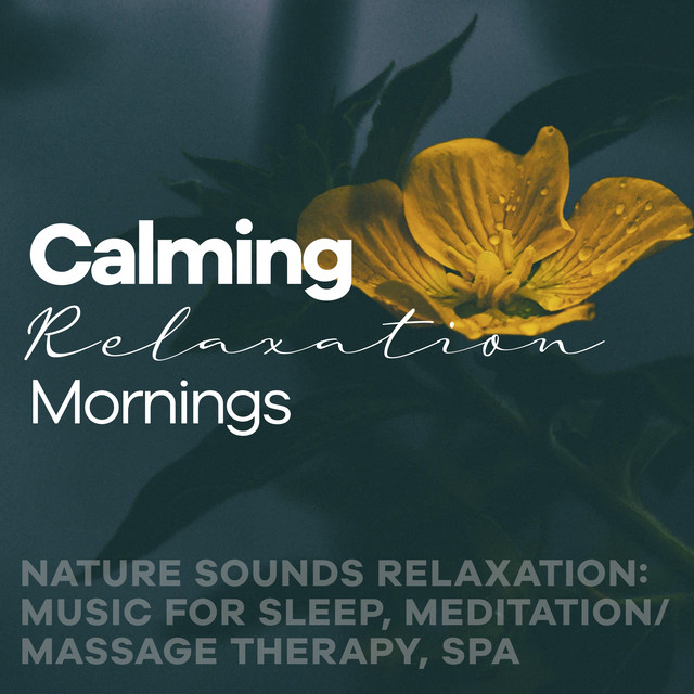 Calming Relaxation Mornings - Album by Nature Sounds Relaxation: Music ...