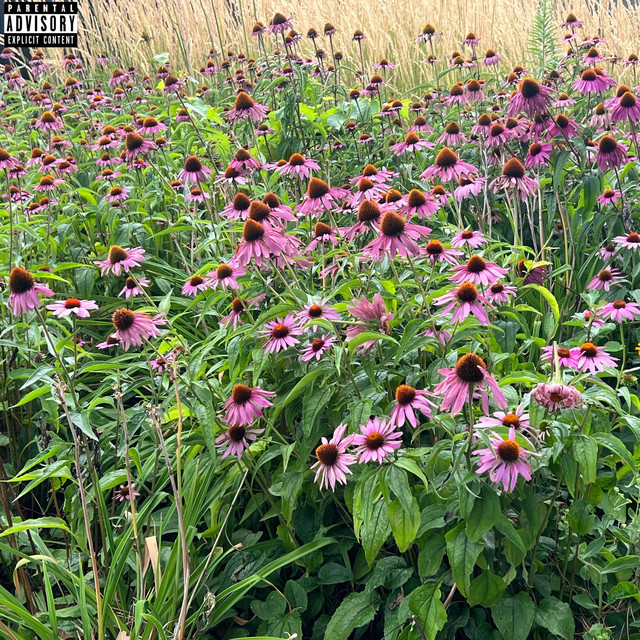 before glory cover art