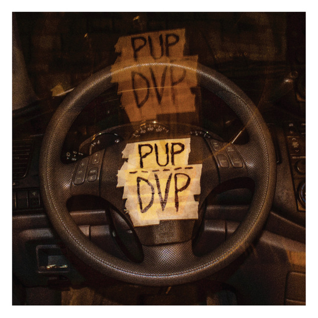 DVP — PUP